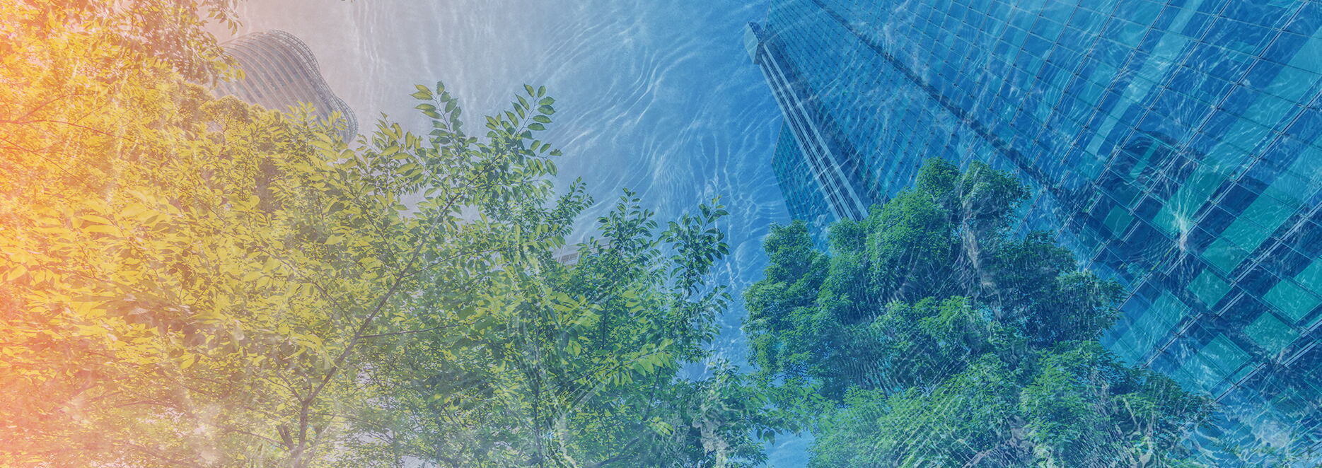 Ablauf Gründung GmbH