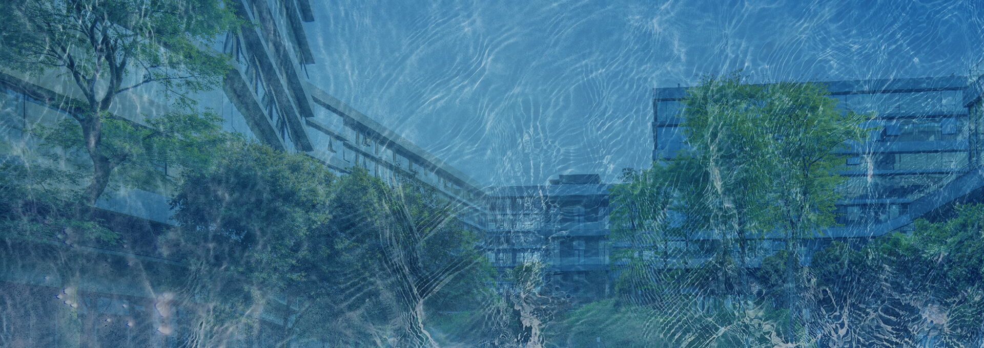 Treuhand Luzern und Zürich